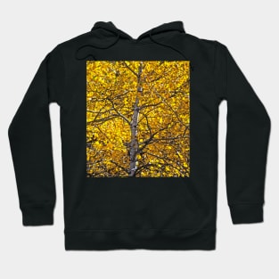 Colorado Fall Hoodie